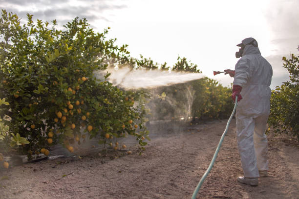 Best Insect Control  in Reese, MI