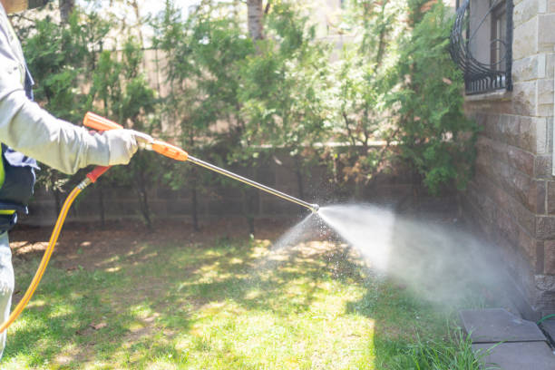 Best Wasp Removal Services  in Reese, MI