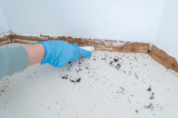 Best Bed Bug Extermination  in Reese, MI