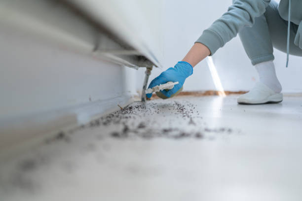 Best Residential Pest Control  in Reese, MI